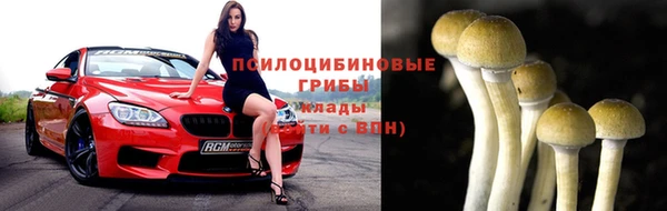 амф Бронницы