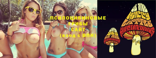 амф Бронницы