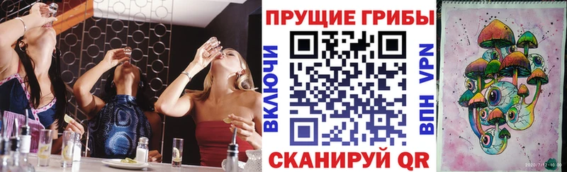 Псилоцибиновые грибы Psilocybe  Купить где  Вуктыл 