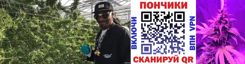 Конопля индика Купить где Вуктыл